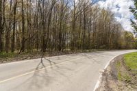 an empty road surrounded by trees on either side of the road or in front of a forest