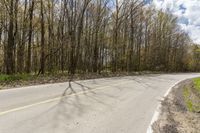 an empty road surrounded by trees on either side of the road or in front of a forest