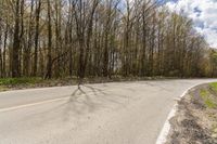 an empty road surrounded by trees on either side of the road or in front of a forest