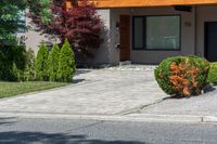 a home on the street with driveway, bushes and a fire hydrant in front