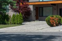 a home on the street with driveway, bushes and a fire hydrant in front