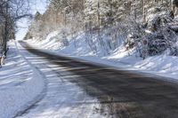 a small road is blocked by snow while a forest of trees and shrubbery surround the road