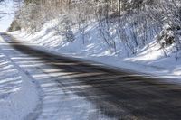 a small road is blocked by snow while a forest of trees and shrubbery surround the road