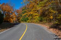 a yellow line on the street of trees with leaves and the street sign has a black stripe