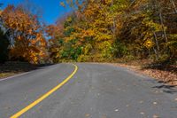 a yellow line on the street of trees with leaves and the street sign has a black stripe