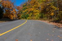 a yellow line on the street of trees with leaves and the street sign has a black stripe