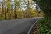 Ontario Canada Scenic Forest Road 001