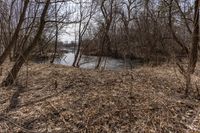 the tree line is next to the pond and river with no water or animals in it