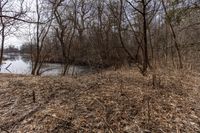 the tree line is next to the pond and river with no water or animals in it