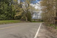 a paved country road lined with lots of trees and grass, and a telephone pole and bench