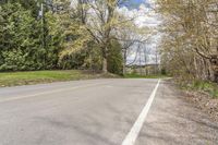 a paved country road lined with lots of trees and grass, and a telephone pole and bench