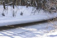 Snowy Forest Road in Ontario, Canada