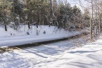 Ontario Canada Snowy Forest Road