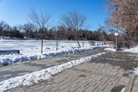 a walkway surrounded by snow next to a tree and bench in a park with clear skies