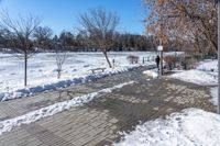 a walkway surrounded by snow next to a tree and bench in a park with clear skies