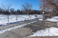 a walkway surrounded by snow next to a tree and bench in a park with clear skies