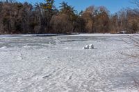 a bunch of rocks on the river with snow all around it, and trees behind it