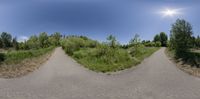 the image shows a two dimensional view of a path in the desert, with an object to the left of the panoramic lens