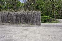 a wooden fence with sticks and plants growing on it in a parking lot next to trees