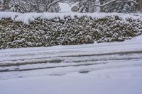 Winter Morning in Ontario, Canada