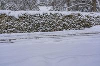 Winter Morning in Ontario, Canada