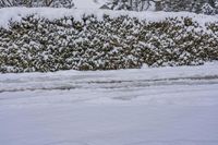 Winter Morning in Ontario, Canada