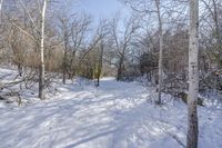 a snow covered path and some trees and buildings in the distance and a sunburst