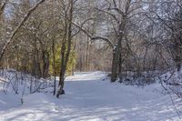 a snow covered path and some trees and buildings in the distance and a sunburst