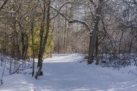 a snow covered path and some trees and buildings in the distance and a sunburst