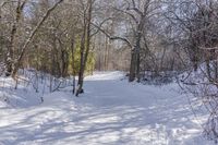 a snow covered path and some trees and buildings in the distance and a sunburst