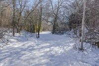 a snow covered path and some trees and buildings in the distance and a sunburst