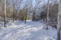 a snow covered path and some trees and buildings in the distance and a sunburst