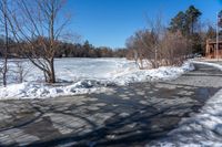 a walkway is blocked by snow and ice with bare branches on both ends of it