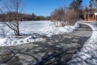 a walkway is blocked by snow and ice with bare branches on both ends of it