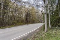 a road surrounded by trees and power lines on both sides of the road in the woods