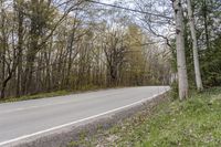 a road surrounded by trees and power lines on both sides of the road in the woods