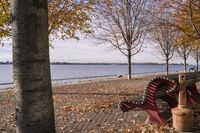 Ontario Coastal Nature: A Seaside Landscape