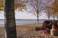 Ontario Coastal Nature: A Seaside Landscape