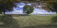 the view from a train window shows the road and trees in the field behind it