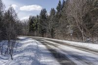 Ontario Day: Clear Sky for a Winter Scene in Nature