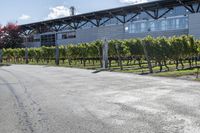 a large building with lots of vines on it's side and trees lining the sidewalk