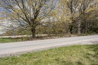 Ontario Day: Rural Road Surrounded by Vegetation