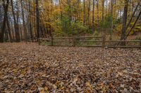 a field full of fallen leaves near a fence and woods in the falltime -