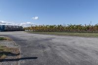 a view of a road and some bushes in the distance with a red traffic cone on it