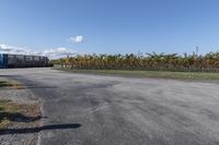 a view of a road and some bushes in the distance with a red traffic cone on it