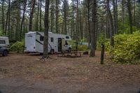 a couple of vehicles are parked near a camper trailer in a forest area with picnic tables and two caravans