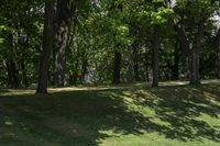 a grassy hill with a bench underneath it and many trees near by with grass and bushes around the grass