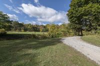 Ontario Forest: Path through Nature's Trail