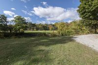 Ontario Forest: Path through Nature's Trail