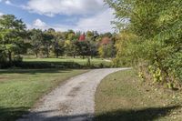 Ontario Forest: A Pathway Through Green Vegetation